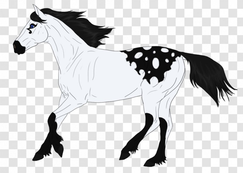 Mule Pony Foal Stallion Halter - Fictional Character - Smoky Black And White Transparent PNG