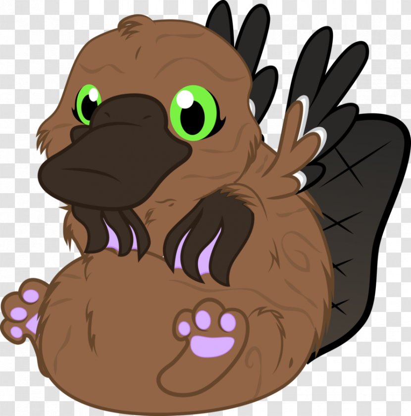 Platypus Beaver Duck Mammal Snout - Carnivoran - Cartoon Transparent PNG