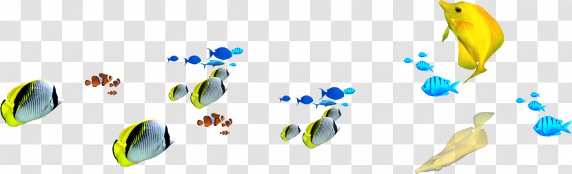 Fish Euclidean Vector Icon - Flocks Of Colorful Transparent PNG
