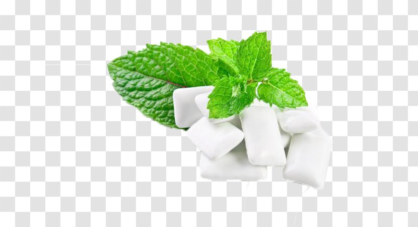 Chewing Gum Peppermint Mentha Spicata Menthol Extra Transparent PNG