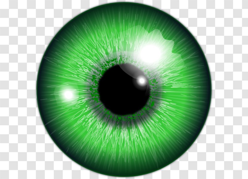 Human Eye Green Iris Color - Frame Transparent PNG