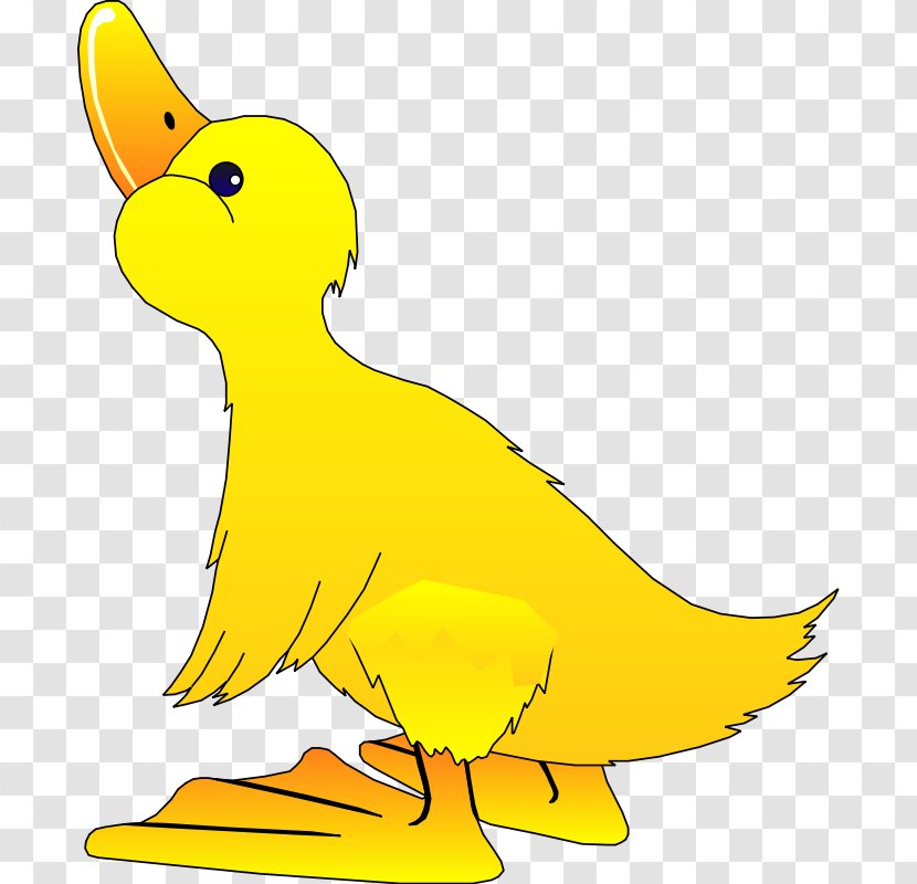 Duck American Pekin Clip Art - Free Content - Cartoon Bird Pictures Transparent PNG