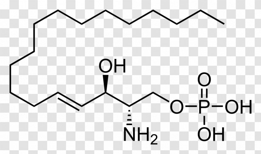 Structural Formula Structure Chemical Amino Acid 1-Propanol - Heart - Cartoon Transparent PNG