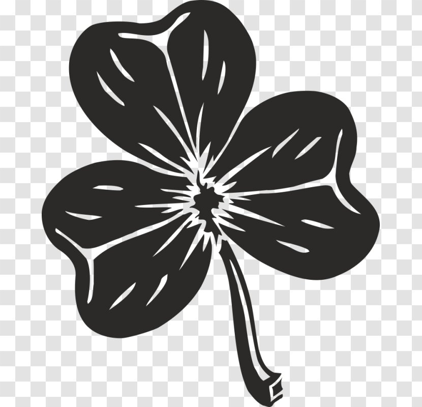 Republic Of Ireland Shamrock Clip Art Clover Saint Patrick's Day - Flora Transparent PNG