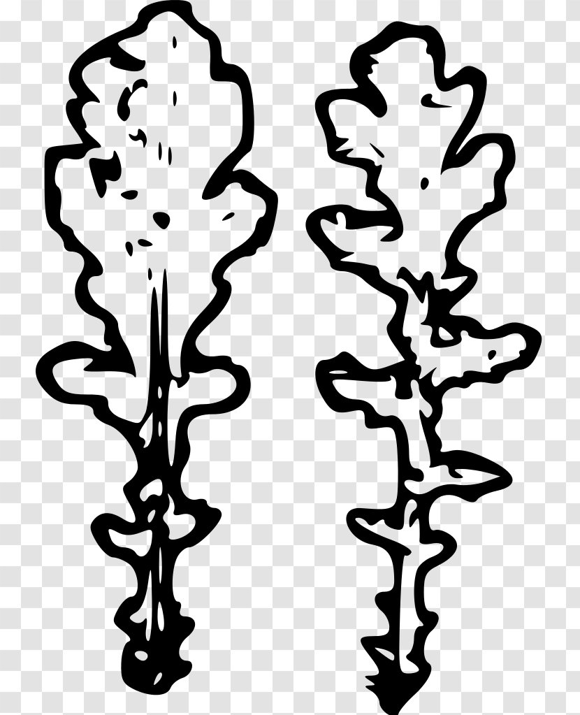Plant Stem Leaf Flower Line Clip Art - Doodle Transparent PNG