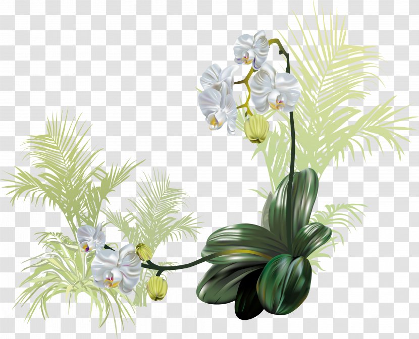 Flower Orchids - Computer Graphics - Delicate Floral Vector Transparent PNG