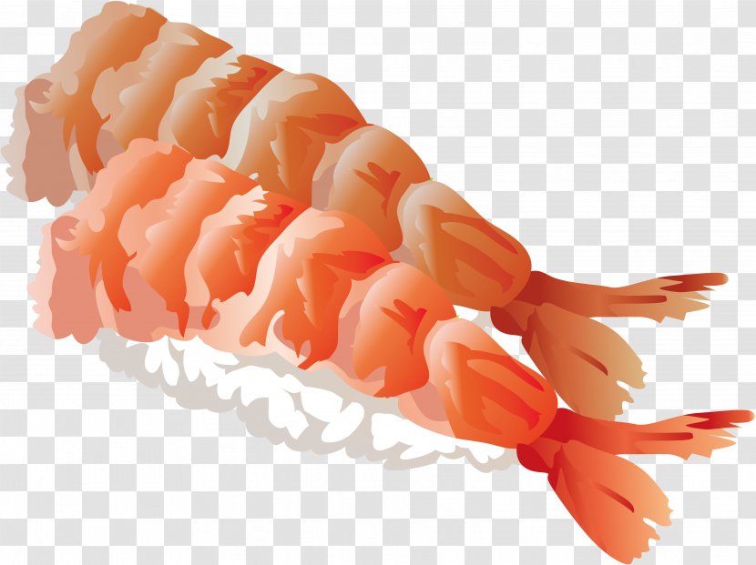 Sushi Shrimp And Prawn Nigirizushi Illustration - Litopenaeus Setiferus Transparent PNG