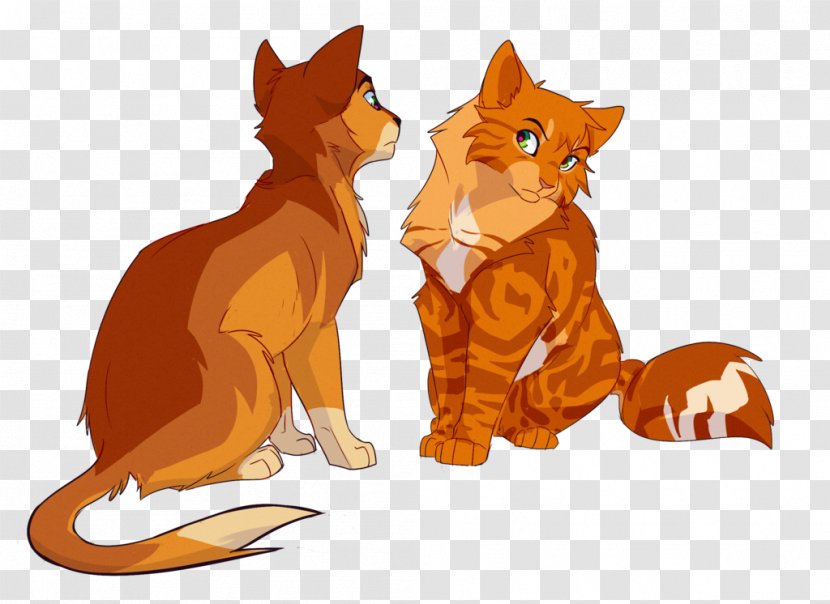 Kitten Whiskers Cat Warriors Firestar - Organism Transparent PNG