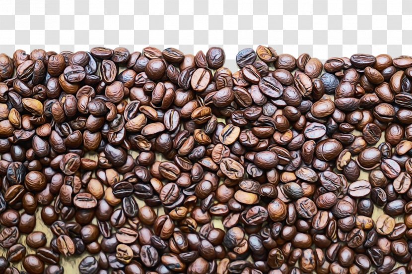 Kapeng Barako Jamaican Blue Mountain Coffee Java Brown Bean - Singleorigin - Seed Transparent PNG