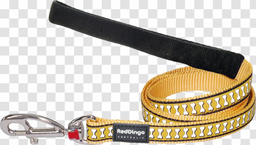 Leash Dog Strap Belt Material - Red Dingo Transparent PNG