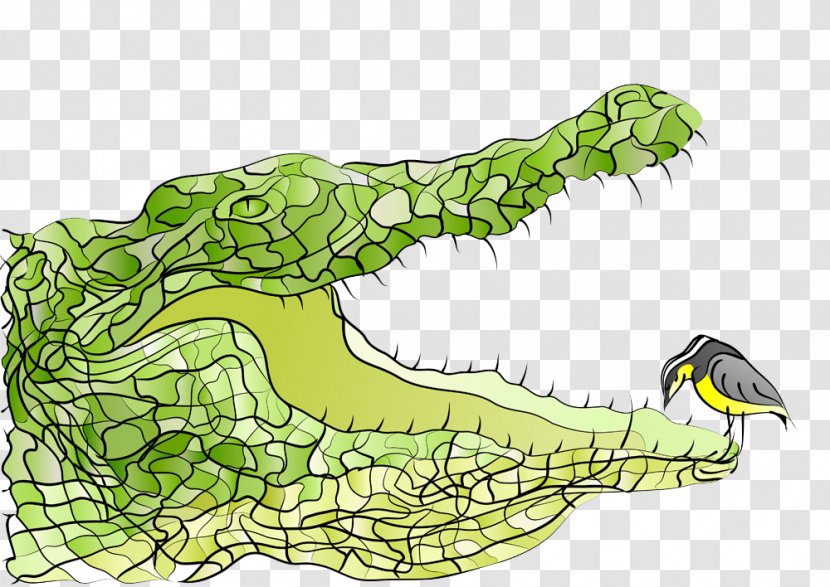 Crocodile Bird American Alligator Illustration - Crocodiles - Mouth Transparent PNG