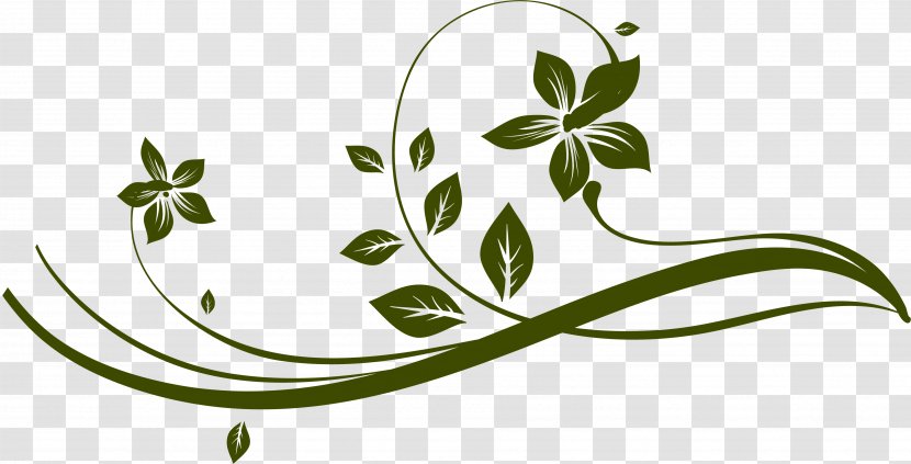 Plant Stem Leaf Green Clip Art Transparent PNG