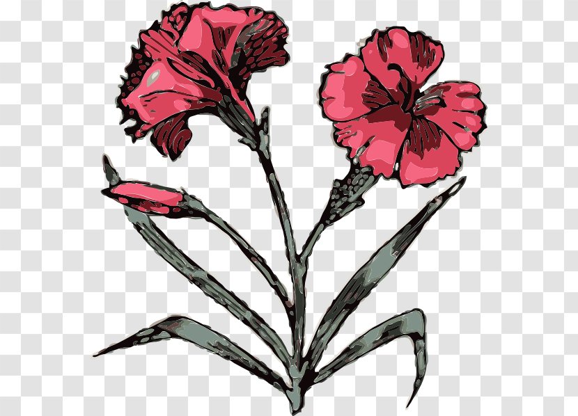 Carnation Free Content Clip Art - Plant - Flower Images Tattoos Transparent PNG
