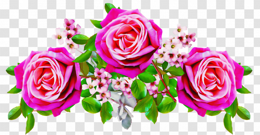 Rose Transparent PNG