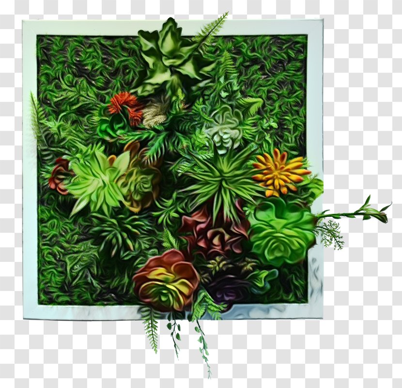 Modern Background Frame - Leaf - Rectangle Jungle Transparent PNG