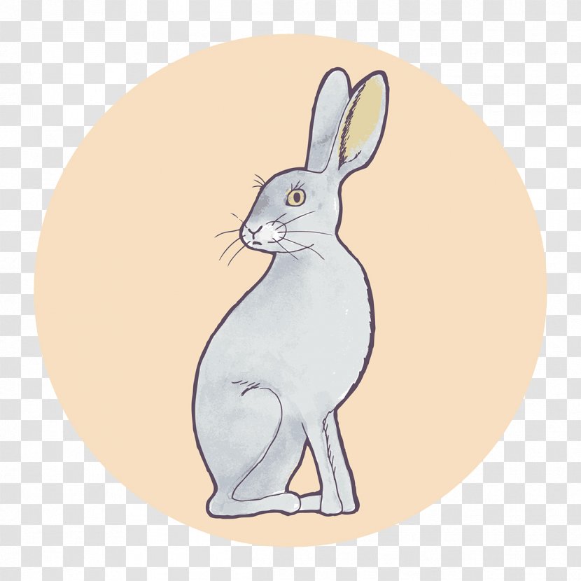 Domestic Rabbit Hare Whiskers Illustration - Gray Bunny Pattern Transparent PNG