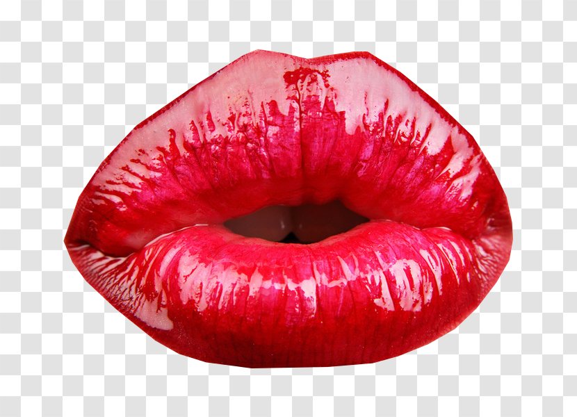 Lip - Clipping Path - Stella Transparent PNG