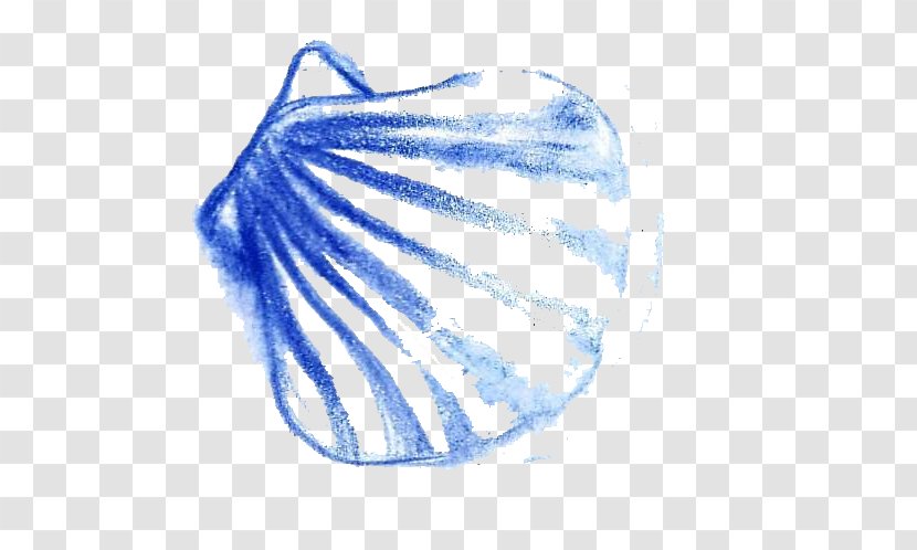 Seashell Euclidean Vector Sea Snail Painting - Blue - Shell Transparent PNG