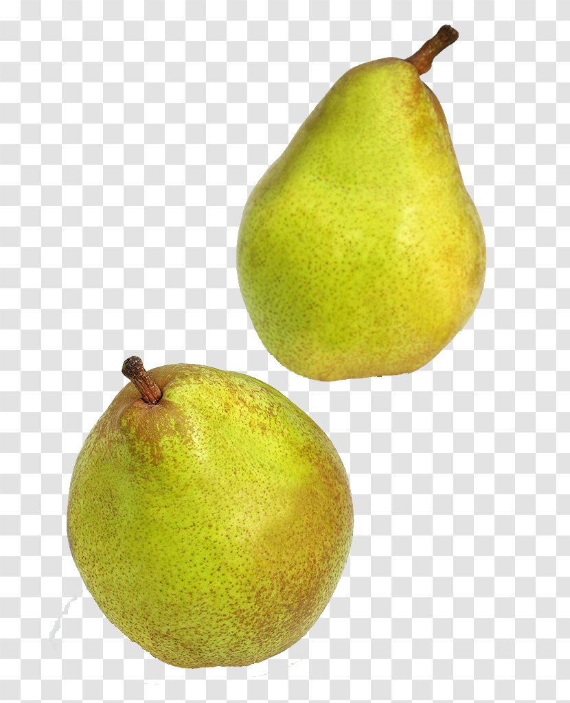 Korla Pyrus Nivalis Citron Lemon - Still Life Photography - Two Small Pears Transparent PNG