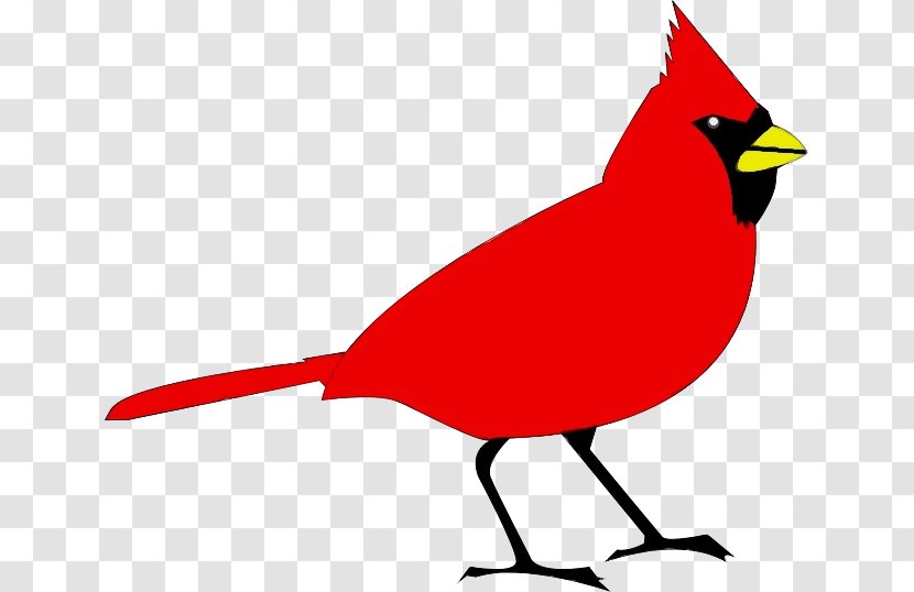 Bird Northern Cardinal Beak Clip Art - Perching Songbird Transparent PNG
