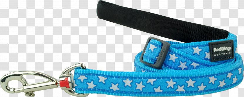 Leash Dingo Dog Collar Puppy - Turquoise - Lead Transparent PNG