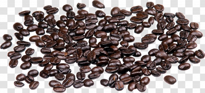Jamaican Blue Mountain Coffee Bean Arabica - Beans Image Transparent PNG