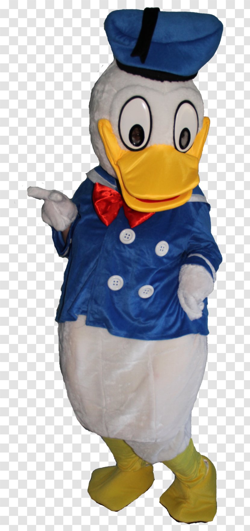 Flightless Bird Costume Mascot Clothing Transparent PNG