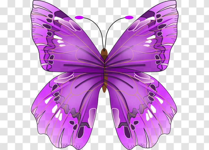 Butterfly Insect Craft Magnets Clip Art - Pink Transparent PNG
