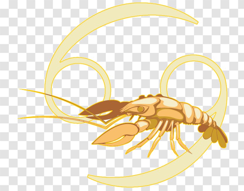 Horoscope Zodiac Capricorn Crab Month - Love - Cancer Astrology Transparent PNG