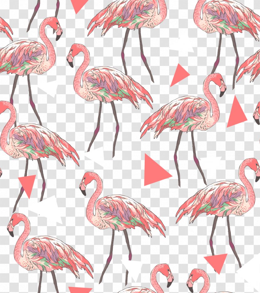 American Flamingo Shutterstock Pattern - Water Bird - Ostrich Shading Transparent PNG
