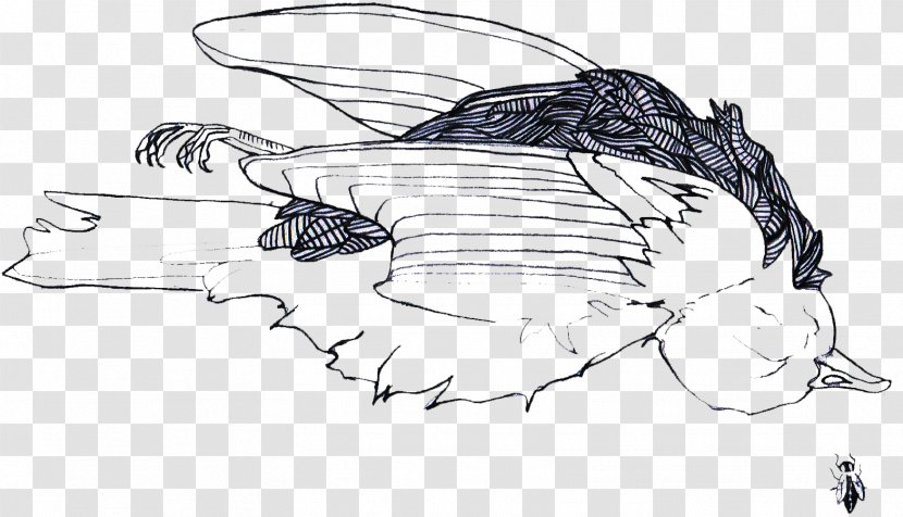 Drawing Line Art Sketch - Artwork - Mammal Transparent PNG