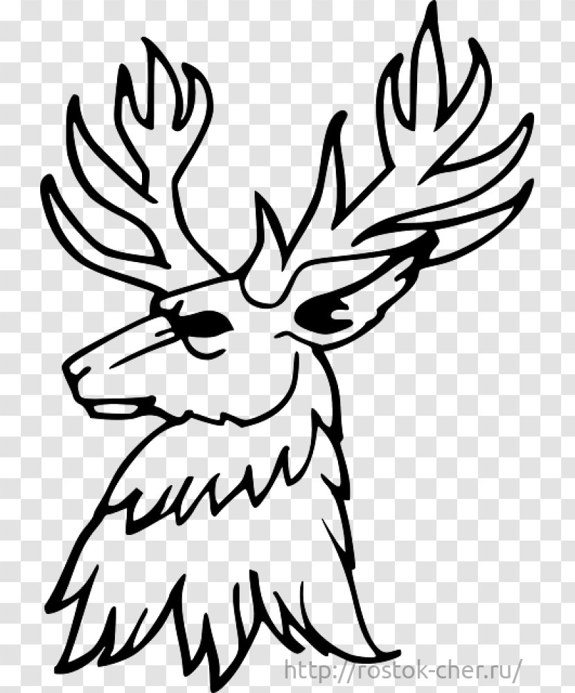 Deer Drawing Antler Clip Art - Stencil Transparent PNG