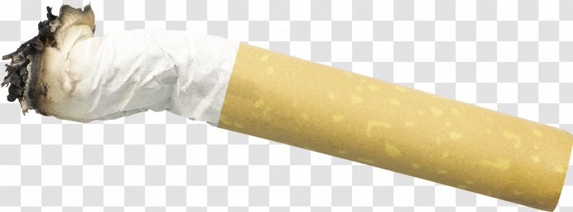 Cigarette Filter Tobacco Smoking - Tree - Image Transparent PNG