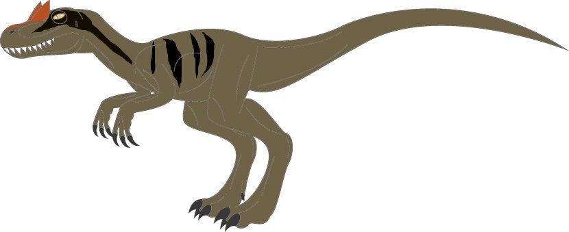 Allosaurus Giganotosaurus Ornitholestes Tyrannosaurus Velociraptor - Ballad Of Big Al - Dinosaur Transparent PNG