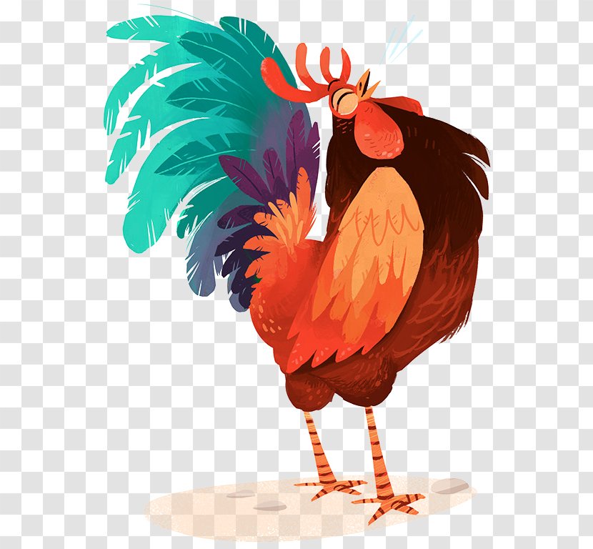 Hamburg Chicken Rooster Painting Drawing - Feather Transparent PNG
