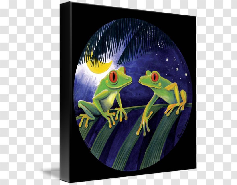 Red-eyed Tree Frog Transparent PNG