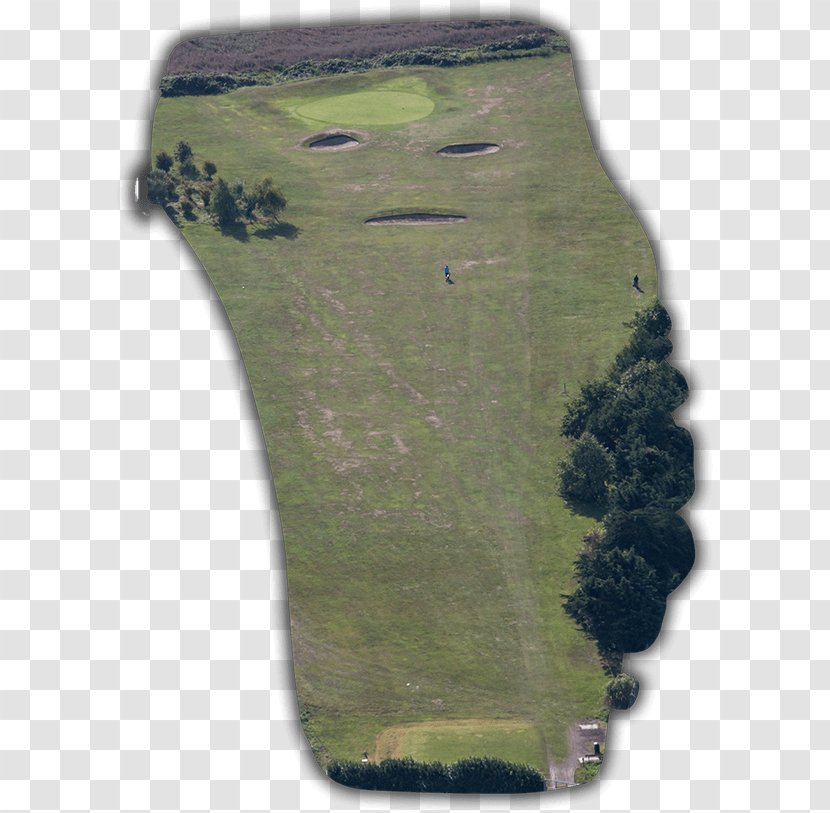 Green Land Lot Real Property - Meadow - Shot Hole Transparent PNG