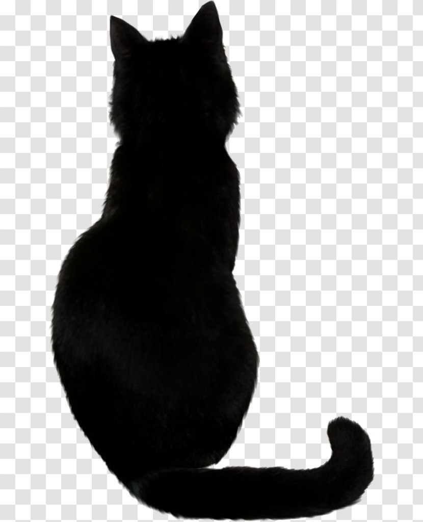 Bombay Cat Kitten Clip Art Image Transparent PNG