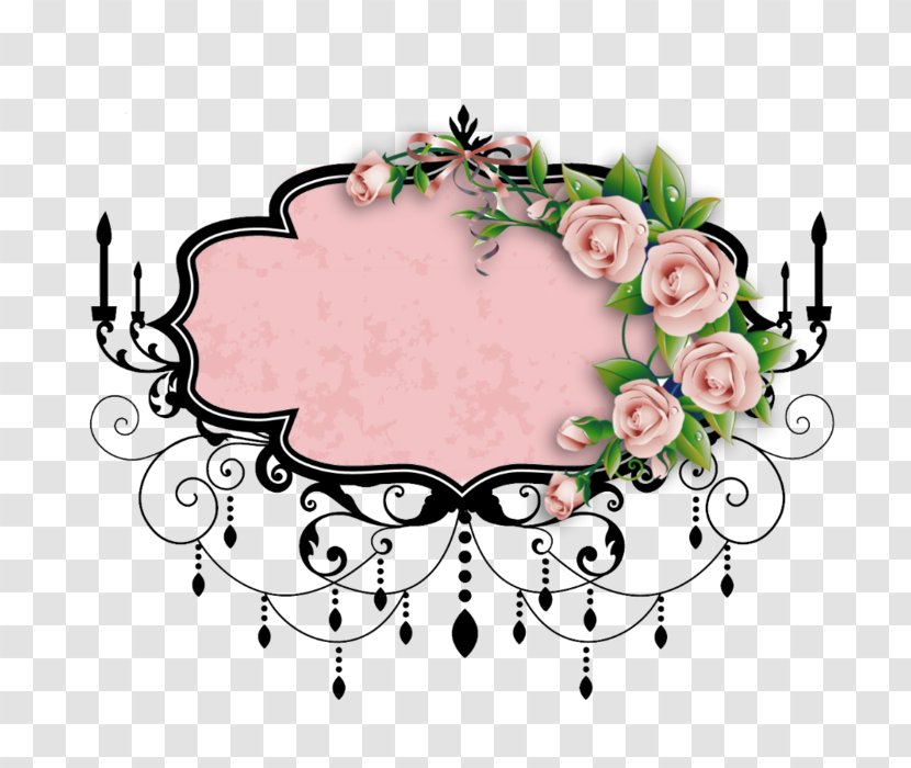 Flowering Plant Flora Floral Design - Pink Transparent PNG