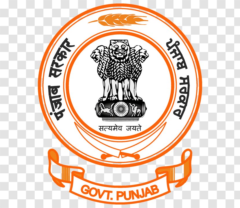 Government Of Punjab, Pakistan State Organization - Official - Georgia Department Public Health Transparent PNG
