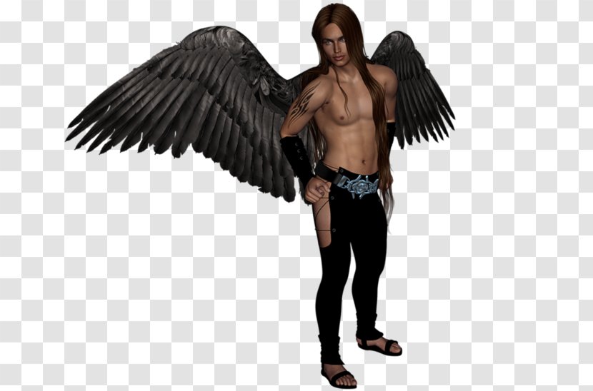 Shoulder Costume Angel M - Fictional Character - Muscle Transparent PNG