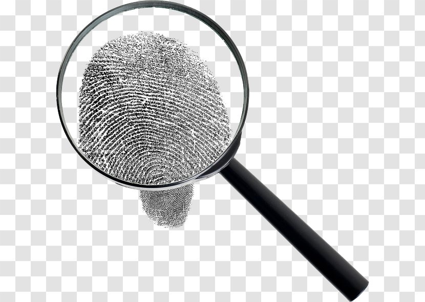 Magnifying Glass Background Check Fingerprint Criminal Record Transparent PNG