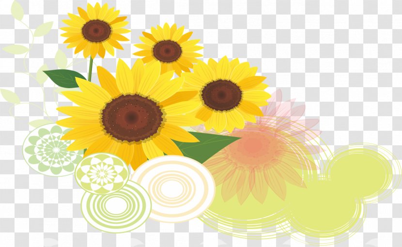 Common Sunflower Euclidean Vector - Cut Flowers - Pattern Trend Transparent PNG