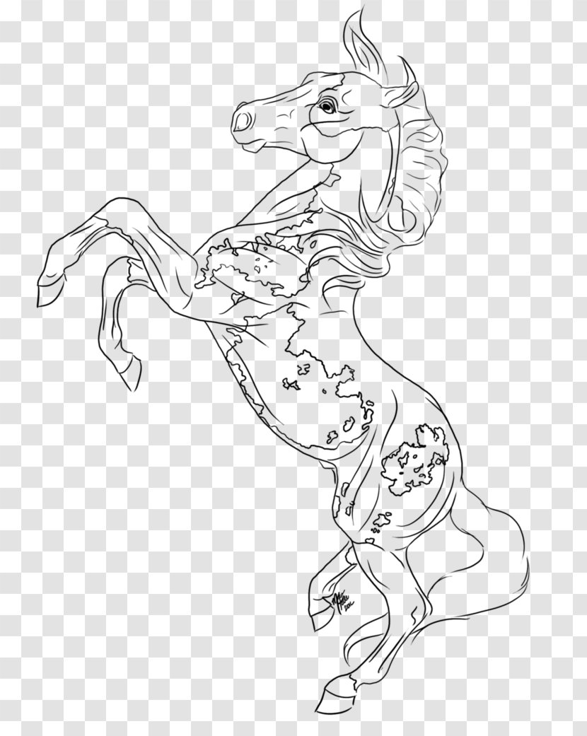 Line Art American Paint Horse Rearing Drawing Sketch - Walking Shoe - Lines Transparent PNG