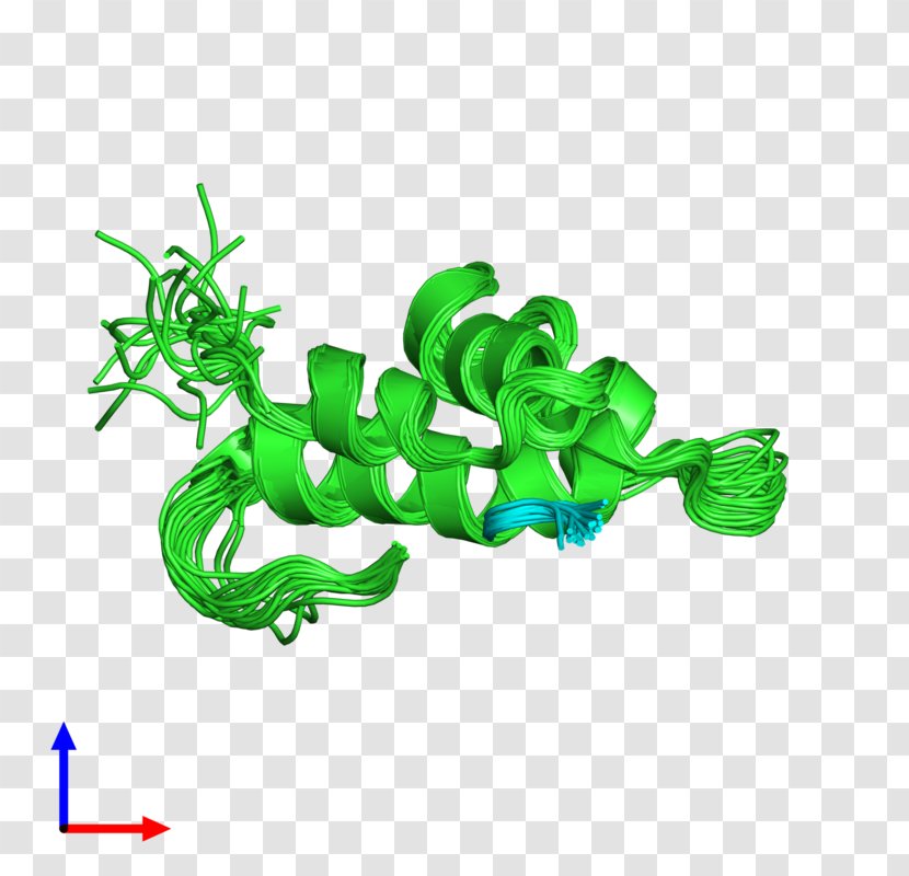 Reptile Amphibian Character Font - Green Transparent PNG