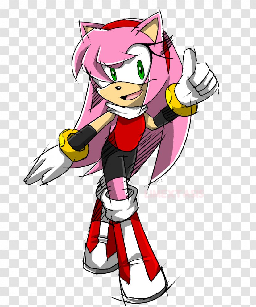 Amy Rose Blaze The Cat Sonic Hedgehog Image Drawing - Cartoon Transparent PNG