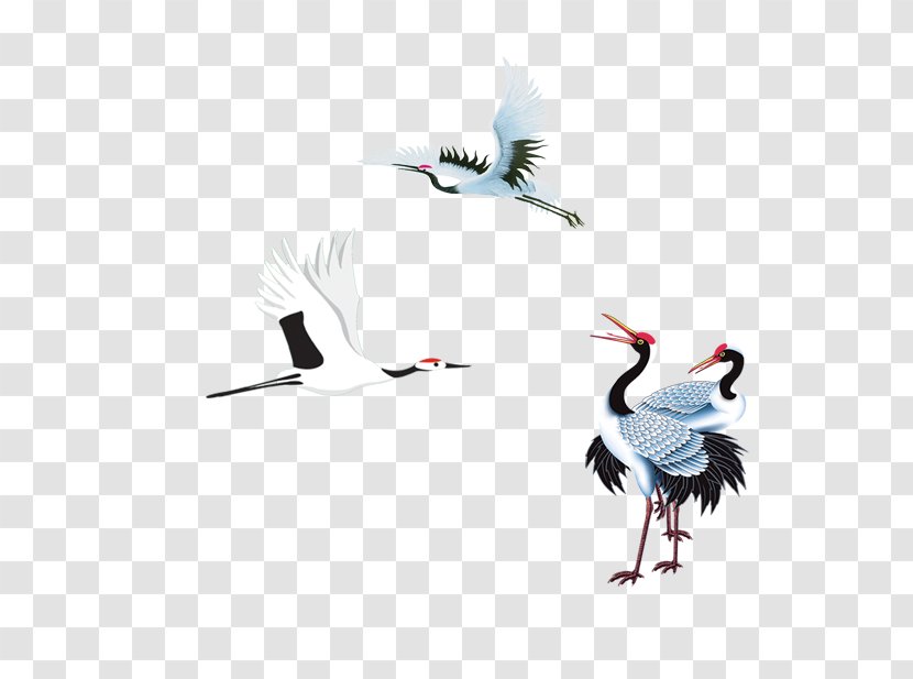 Red-crowned Crane Creative - Water Bird - Beak Transparent PNG