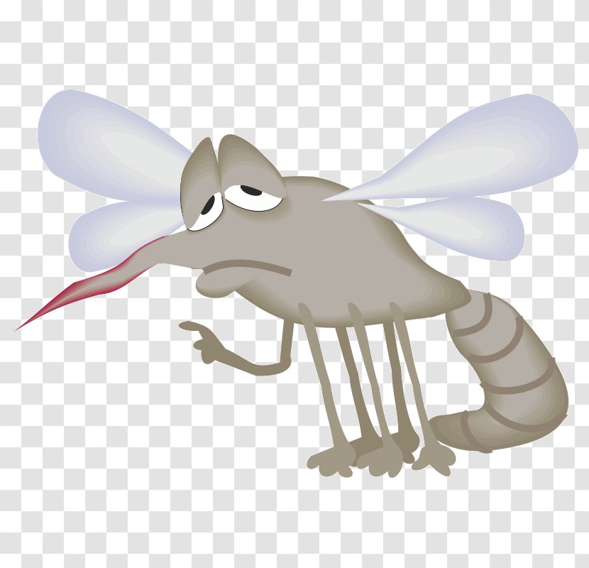 Mosquito - Insect - Mammal Transparent PNG
