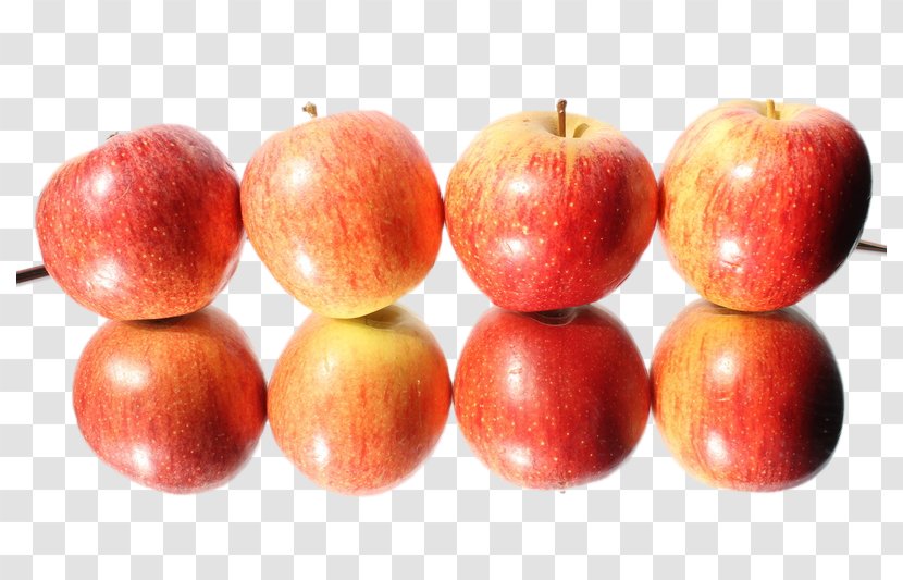 IPad Mini Apple - Diet Food - Creative Lined Up Apples Transparent PNG