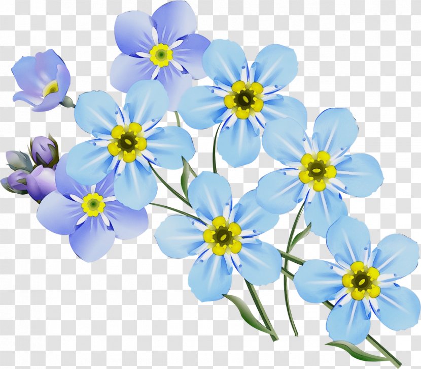 Flowering Plant Alpine Forget-me-not Flower Blue - Forgetmenot - Borage Family Water Forget Me Not Transparent PNG